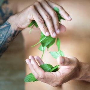  Gel za tuširanje 3 v 1 za moške Energy of mint steklenička 500 ml