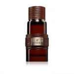 8th Wonder parfumski ekstrakt unisex 100 ml