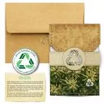 Green Banana Paper Seaside Accordion