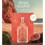 Acqua Colonia Fig & Vetiver kolonjska voda unisex 100 ml