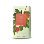Acqua Colonia Fig & Vetiver kolonjska voda unisex 100 ml