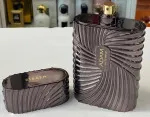 Adam parfumska voda za moške 100 ml