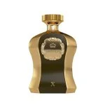 Highness X parfumska voda za moške 100 ml