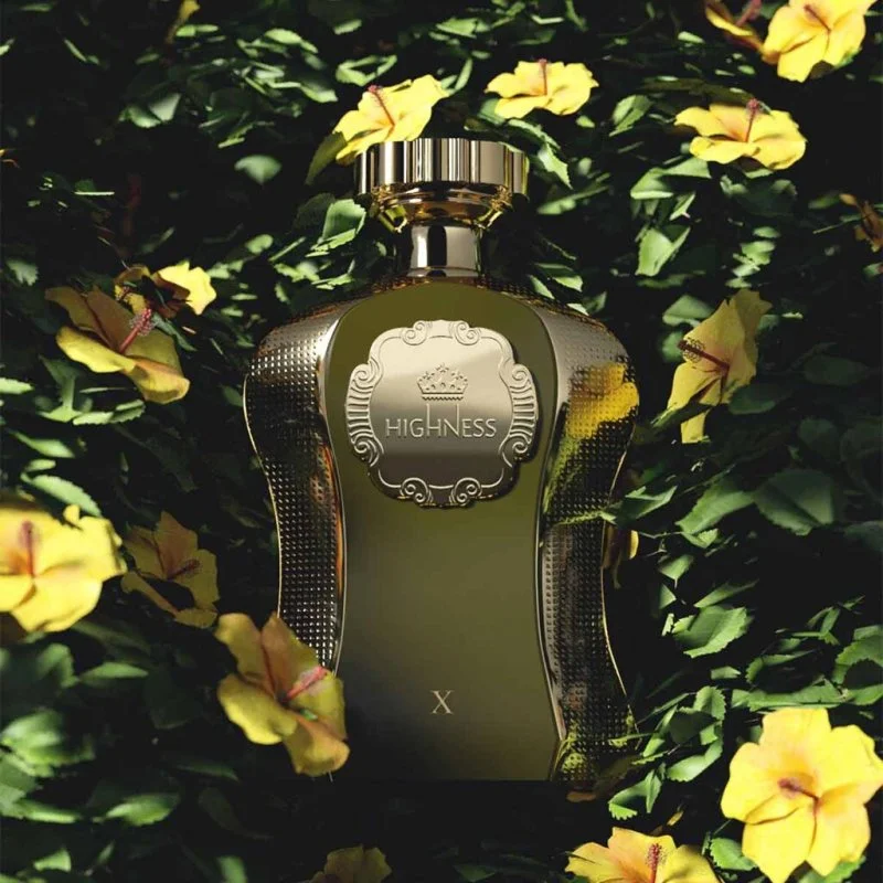 Afnan Highness X parfumska voda za moške