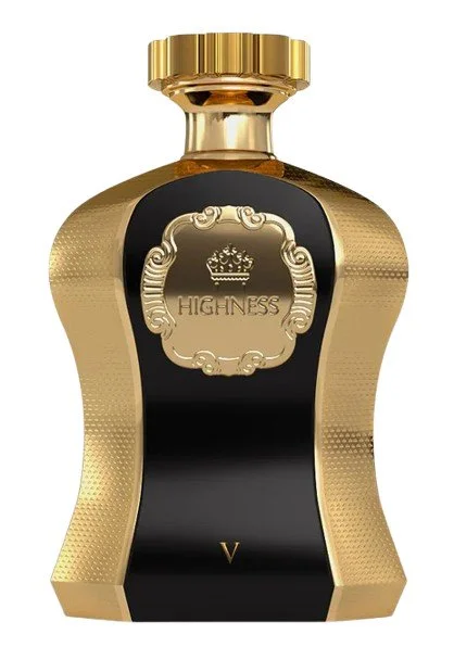Highness Black V W parfumska voda 100 ml