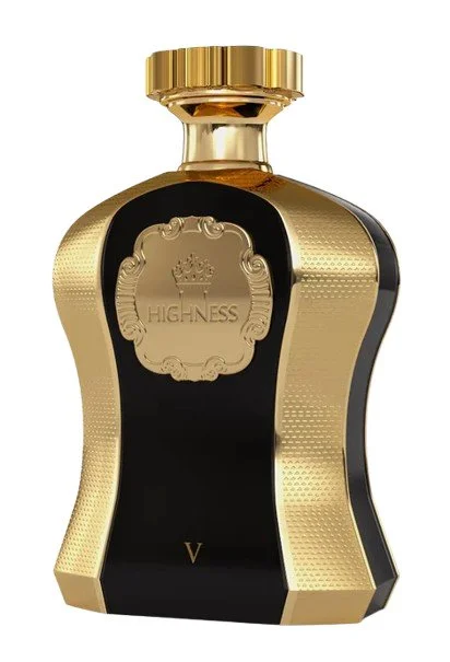 Highness Black V W parfumska voda 100 ml