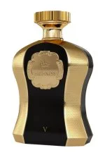 Highness Black V W parfumska voda 100 ml
