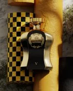 Highness Black V W parfumska voda 100 ml