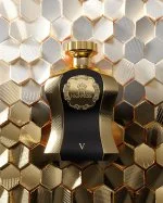 Highness Black V W parfumska voda 100 ml
