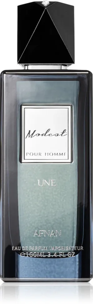 Afnan Modest Une Pour Homme parfumirana voda 100 ml za moške