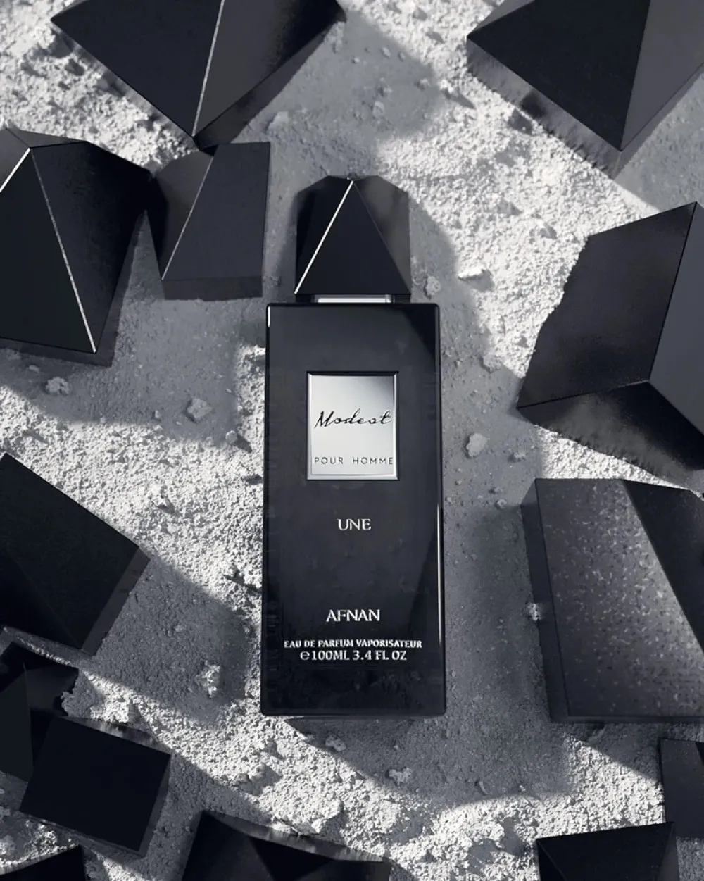 Modest Une Pour Homme parfumirana voda 100 ml za moške
