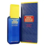 Agua Quorum toaletna voda za moške 100 ml