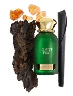 Ignite Oud U parfumska voda 60 ml
