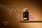 Ignite Oud U parfumska voda 60 ml