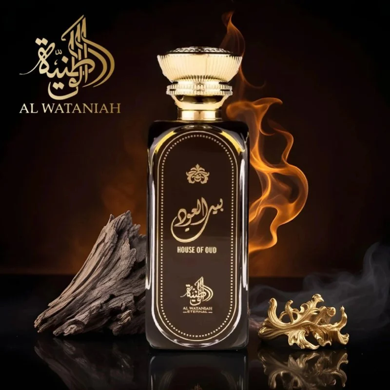 House of Oud M parfumska voda 100 ml