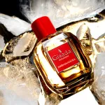 Ambassadora For Women parfumska voda za ženske 100 ml