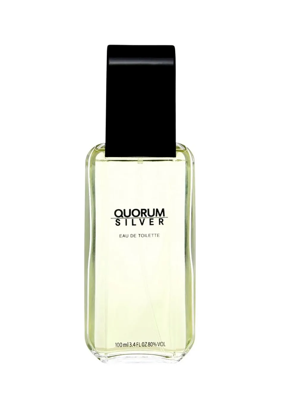 Quorum Silver toaletna voda 100 ml za moške