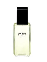 Quorum Silver toaletna voda 100 ml za moške