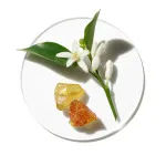 Aromatics in White parfumska voda za ženske 100 ml
