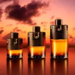 The Most Wanted parfum za moške 100 ml