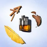Wanted By Night parfumska voda za moške 100 ml