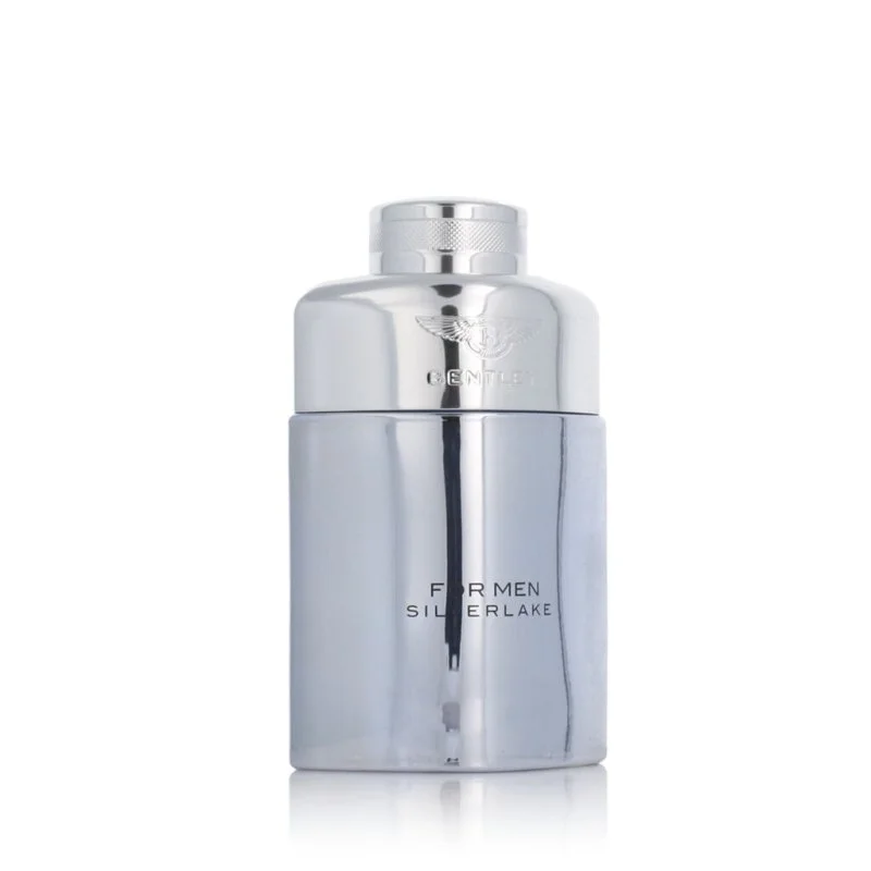 For Men Silverlake parfumska voda za moške 100 ml