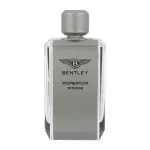Momentum Intense parfumska voda za moške 100 ml