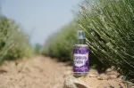 Purity Vision Ekološka sivkina voda 100 ml