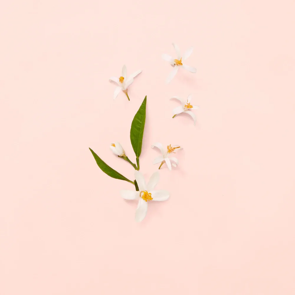 Bloom toaletna voda za ženske 100 ml