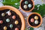 Blossombs Semenske bombe - Darilni komplet mini - Za vse tisočkrat hvala (4 kosi) - podarite rožo drugače