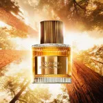 Bois Pacifique parfumska voda za moške 100 ml