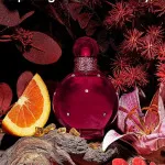 Hidden Fantasy parfumska voda za ženske 100 ml