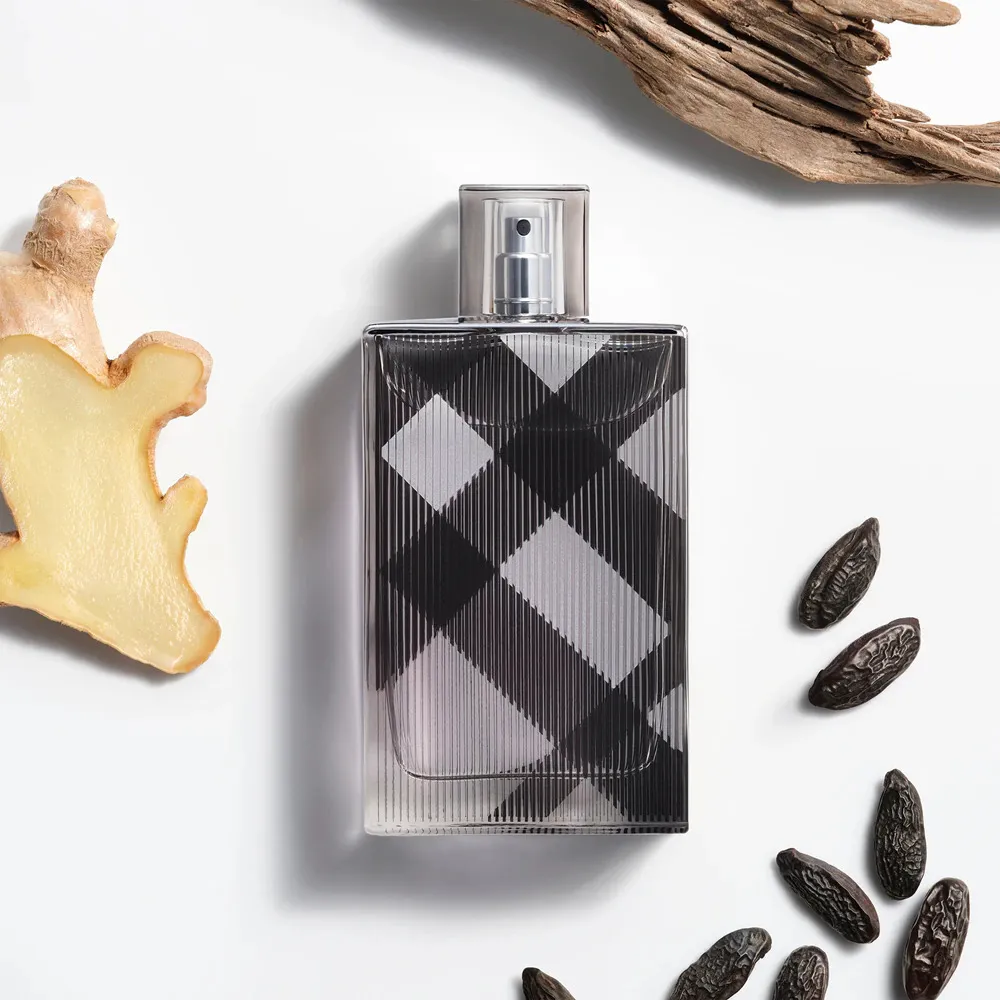 Brit For Men toaletna voda za moške 100 ml