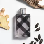 Brit For Men toaletna voda za moške 100 ml