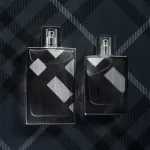 Brit For Men toaletna voda za moške 100 ml