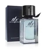 Mr. Burberry toaletna voda za moške 100 ml