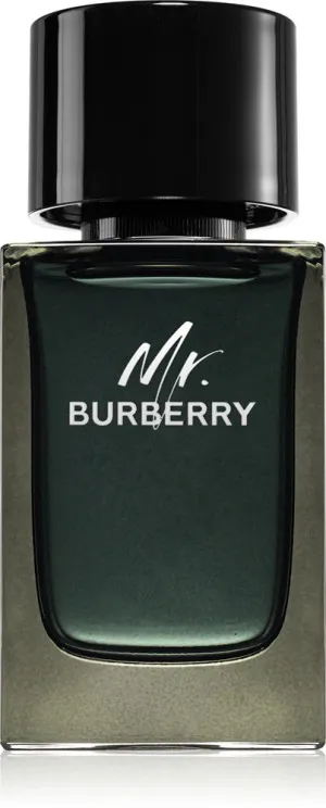 Burberry Mr. Burberry parfumirana voda za moške 100 ml