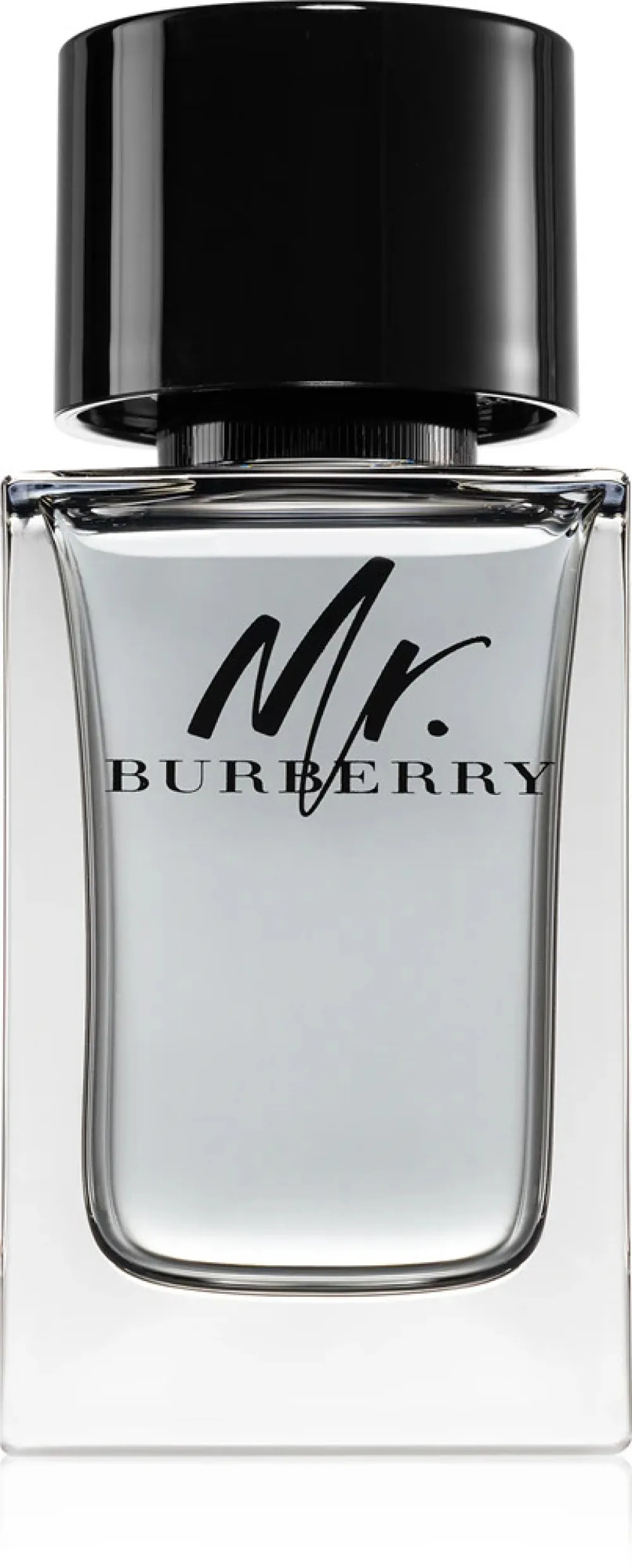 Mr. Burberry toaletna voda za moške 100 ml