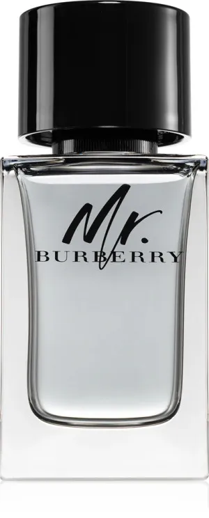 Burberry Mr. Burberry toaletna voda za moške 100 ml