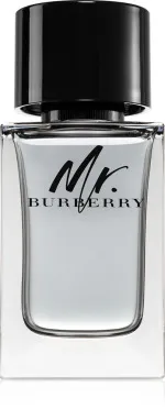 Mr. Burberry toaletna voda za moške 100 ml
