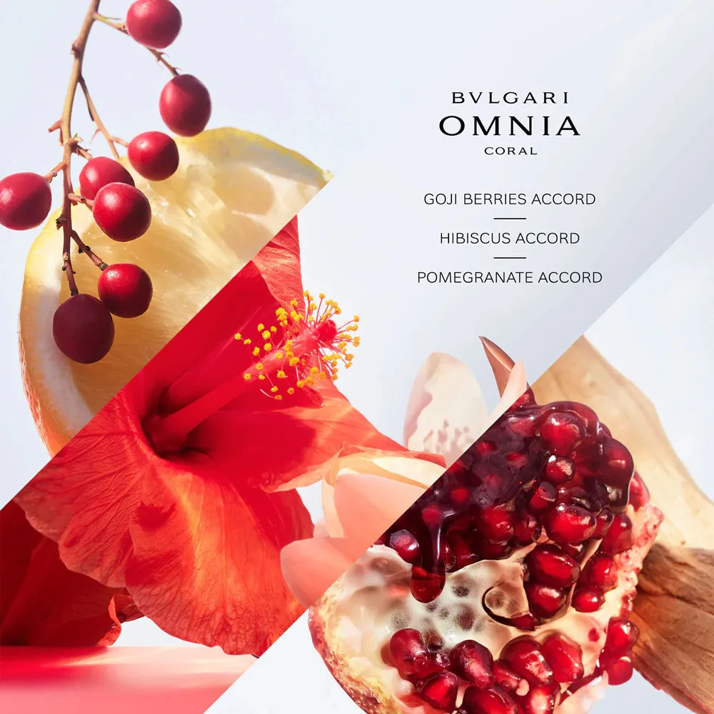 Omnia Coral toaletna voda za ženske 100 ml