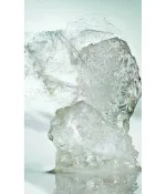 Pour Homme parfumska voda za moške 100 ml