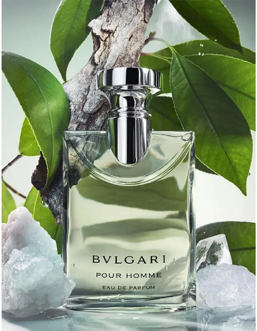 Pour Homme parfumska voda za moške 100 ml