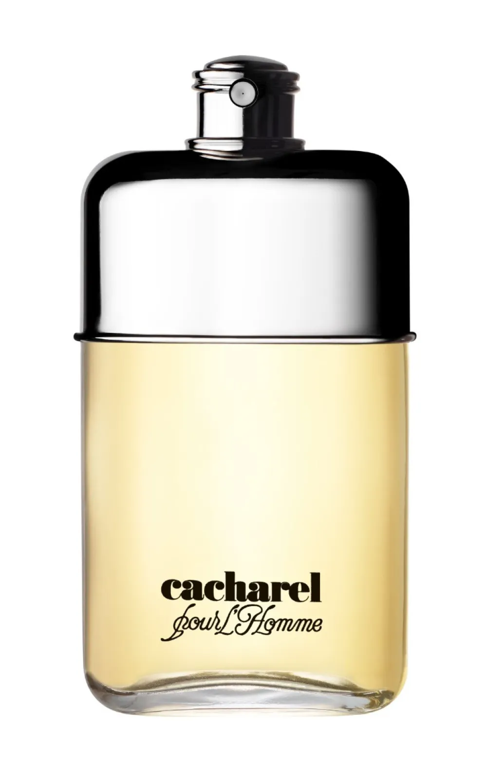 Pour L'Homme toaletna voda za moške 100 ml
