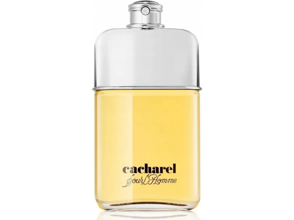 Pour L'Homme toaletna voda za moške 100 ml