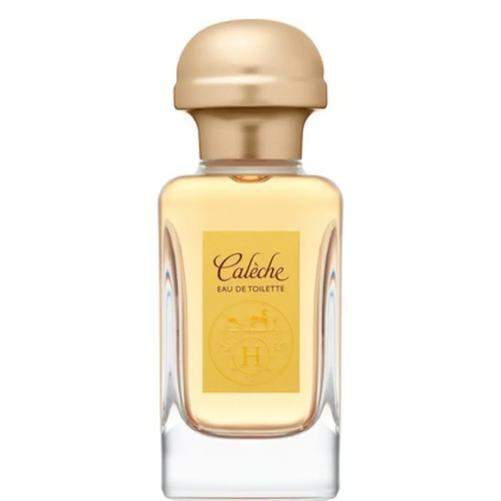 Calèche Soie de Parfum parfumska voda za ženske 50 ml