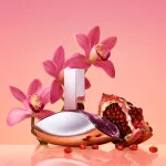 Euphoria parfumska voda za ženske 50 ml