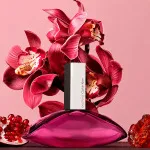 Euphoria parfumska voda za ženske 50 ml