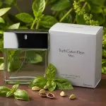 Truth For Men toaletna voda 100 ml za moške