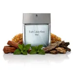 Truth For Men toaletna voda 100 ml za moške